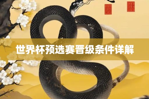 世界杯预选赛晋级条件详解眉山市正发家政服务有限公司