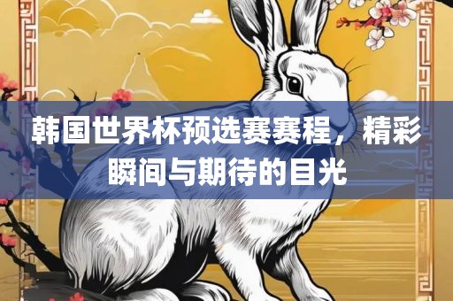韩国世界杯预选赛眉山市正发家政服务有限公司赛程，精彩瞬间与期待的目光