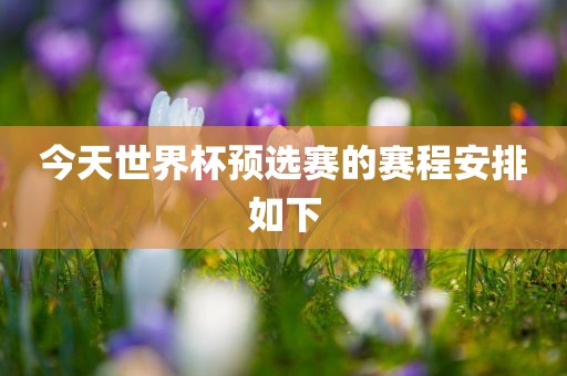 今天世眉山市正发家政服务有限公司界杯预选赛的赛程安排如下