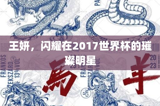 王妍，闪耀在2017世界杯的璀璨明星