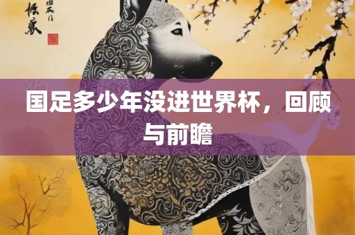国足多少年没进世界杯，回顾与前瞻