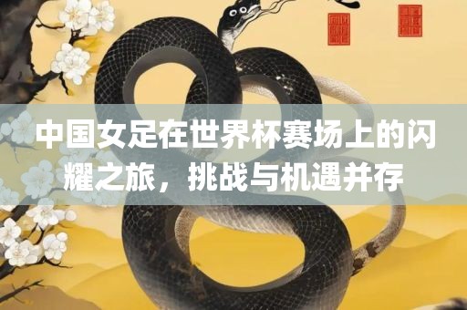 中国女足在世界杯赛场上的闪耀之旅，挑战与机遇并存