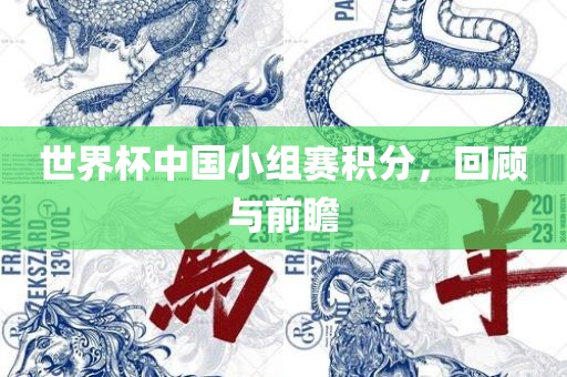 世界杯中国小组赛积分，回顾与前瞻