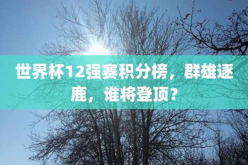 世界杯12强赛积分榜，群雄逐鹿，谁将登顶？眉山市正发家政服务有限公司