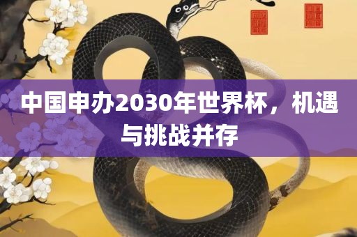 中国申办2030年世界杯，机遇与挑战并存眉山市正发家政服务有限公司
