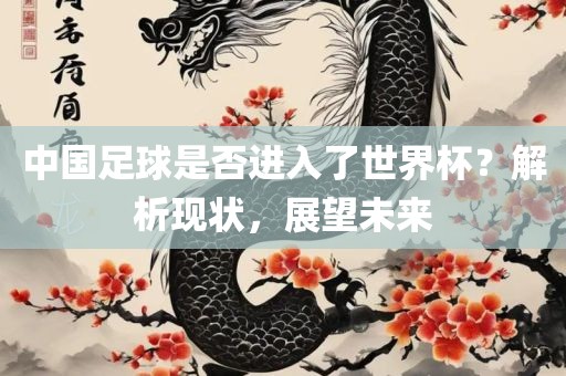 中国足球是眉山市正发家政服务有限公司否进入了世界杯？解析现状，展望未来