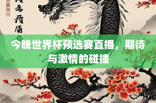 今晚世界杯预选赛直播，期待与激情的碰撞