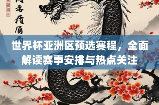 世界杯亚洲区预选赛程，全面解读赛事安排与热点关注