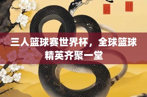 三人篮球赛世界杯，全球篮球精英齐聚一堂眉山市正发家政服务有限公司