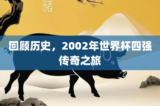 回顾历史，2002年世界杯四强传奇之旅