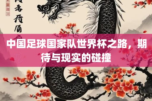 中国足球国家队世界杯之路，期待与现实的碰撞