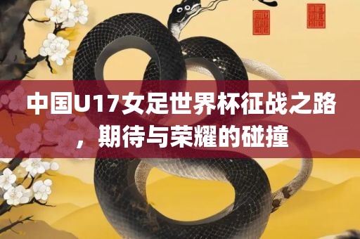 中国U17女足世界杯征战之路，期待与荣耀的碰撞眉山市正发家政服务有限公司