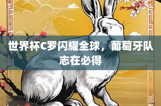 世界杯C罗闪耀全球，葡萄牙队志在必得眉山市正发家政服务有限公司
