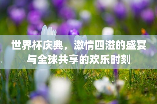 世界杯庆典，激情四溢的盛宴与全球共享的欢乐时刻眉山市正发家政服务有限公司
