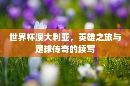 世界杯澳大利亚，英雄之旅与足球传奇的续写