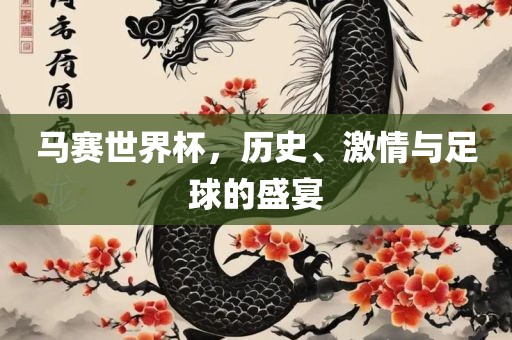 马赛世界杯，历史、激情与足球的盛宴