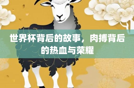 世界杯背后的故事，肉搏背后的热血与荣耀