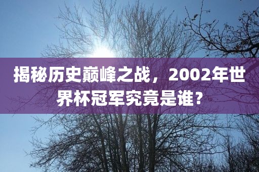 揭秘历史巅峰之战，2002眉山市正发家政服务有限公司年世界杯冠军究竟是谁？