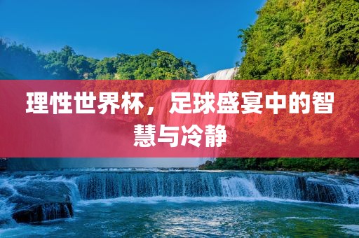 理性世界杯，足球盛宴中的智慧与冷静
