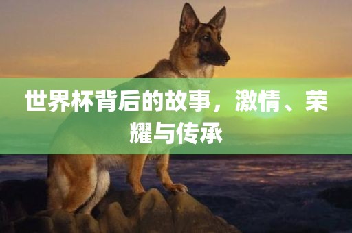世界杯背后的故事，激情、荣耀与传承