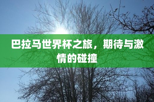 巴拉马世界杯之旅，期待与激情的碰撞