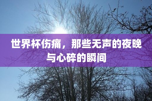 世界杯伤痛，那些无声的夜晚与心碎的瞬间