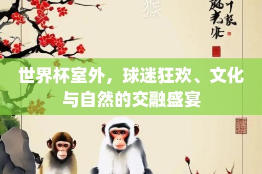 世界杯室外，球迷狂欢、文化与自然的交融盛宴
