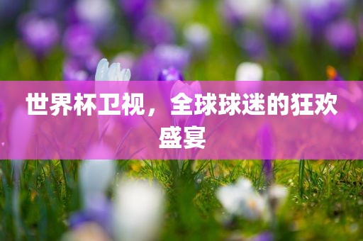 世界杯卫视，全球球迷的狂欢盛宴