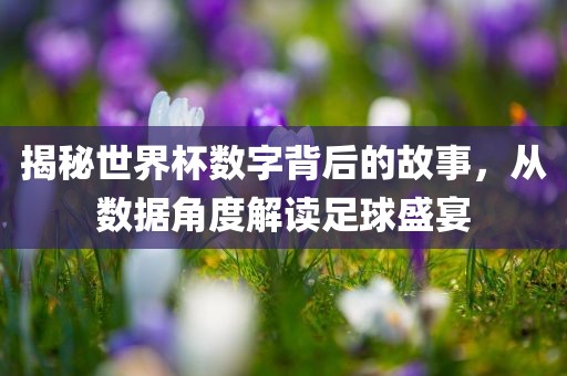 揭秘世界杯数字背后的故事，从数据角度解读足球盛宴