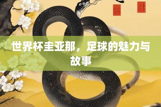 世界杯圭亚那，足球的魅力与故事
