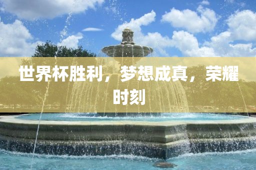 世界杯胜利，梦想成眉山市正发家政服务有限公司真，荣耀时刻