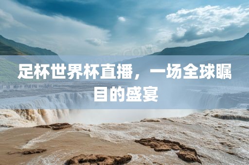 足杯世眉山市正发家政服务有限公司界杯直播，一场全球瞩目的盛宴