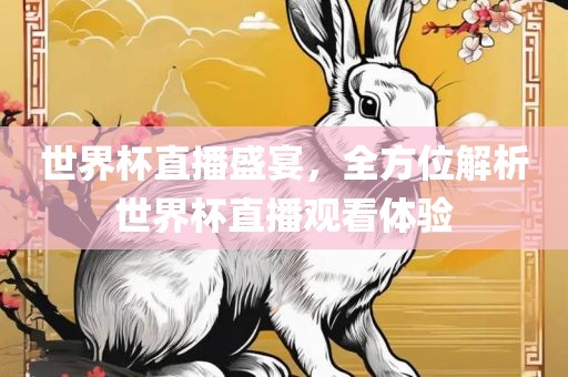 世界杯直播盛宴，全方位解析世界杯直播观看体验