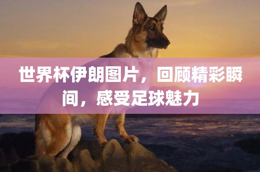世界杯伊朗图片，回顾精彩瞬间，感受足球魅力眉山市正发家政服务有限公司