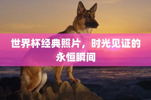 世界杯经典照片，时光见证的永恒瞬间眉山市正发家政服务有限公司