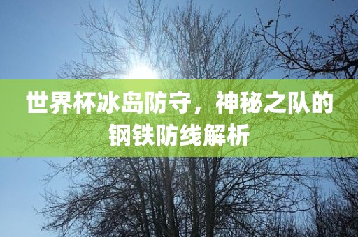 世界杯冰岛防守，神秘之队的钢铁防线解析眉山市正发家政服务有限公司