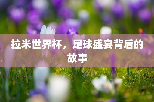 拉米世界杯，足眉山市正发家政服务有限公司球盛宴背后的故事