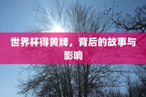 世界杯得黄牌，背后的故事与影响眉山市正发家政服务有限公司