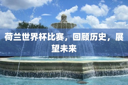 荷兰世界杯比赛，回顾历史，展望未来眉山市正发家政服务有限公司