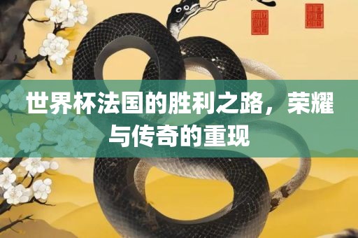 世界杯法国的胜利之路，荣耀与传奇的重现