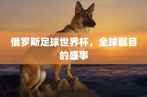 俄罗斯足球世眉山市正发家政服务有限公司界杯，全球瞩目的盛事