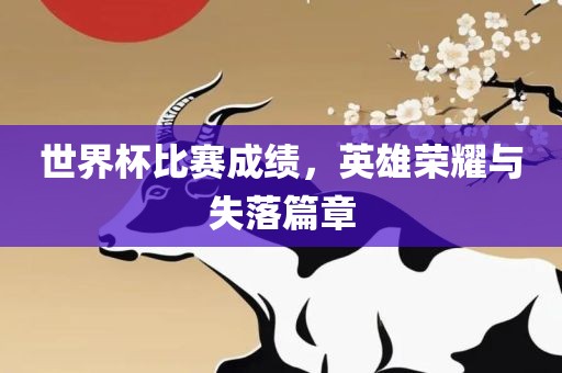 世界杯比赛成绩，英雄荣耀与失落篇章