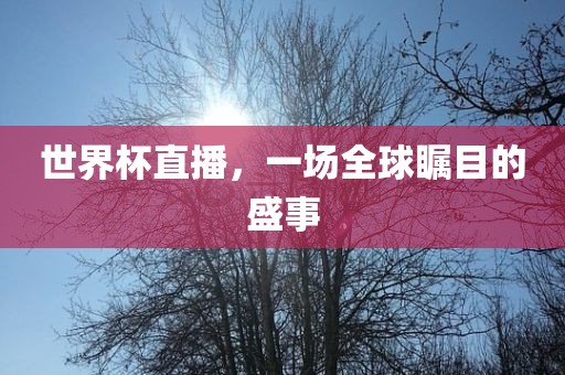 世界杯直播，一场全球瞩目的盛事眉山市正发家政服务有限公司