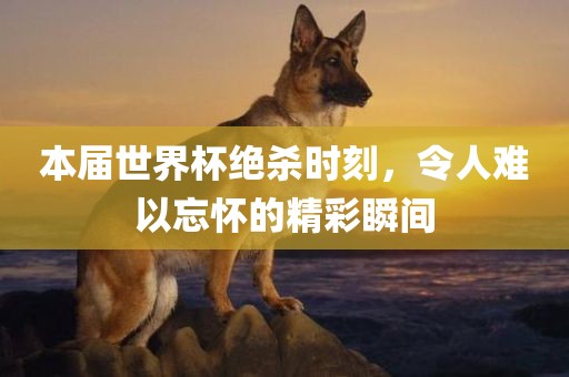本届世界杯绝杀时刻，令人难以忘怀的精彩瞬间
