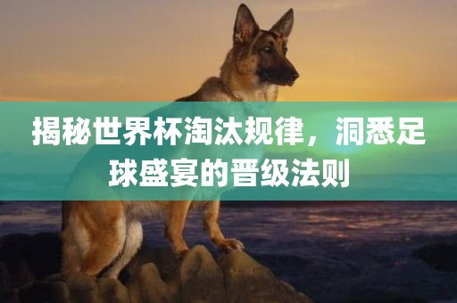 揭秘世界杯淘汰规律，洞悉足球盛宴的晋级法则眉山市正发家政服务有限公司