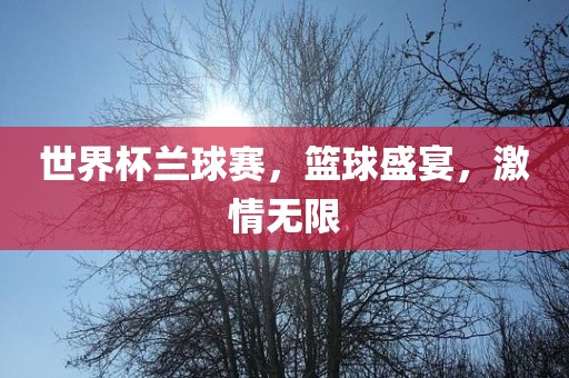 世眉山市正发家政服务有限公司界杯兰球赛，篮球盛宴，激情无限