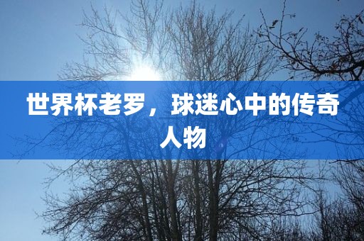 世界杯老罗，球迷心中的传奇人物