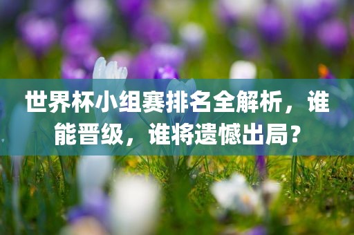 世界杯小组赛排名全解析，谁能晋级，谁将遗憾出局？