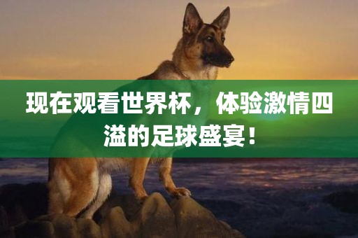 现在观看世界杯，体验激情四溢的足球盛宴！眉山市正发家政服务有限公司