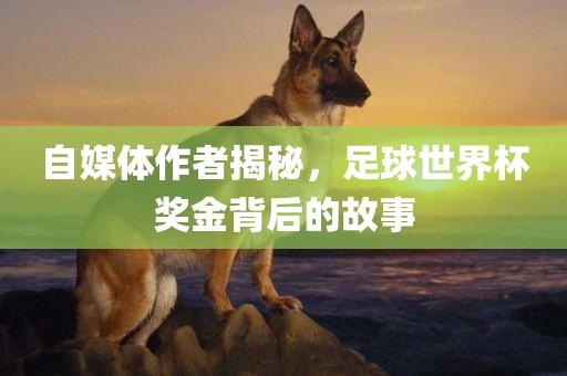 自媒体作者揭秘，足球世界杯奖金背后的故事